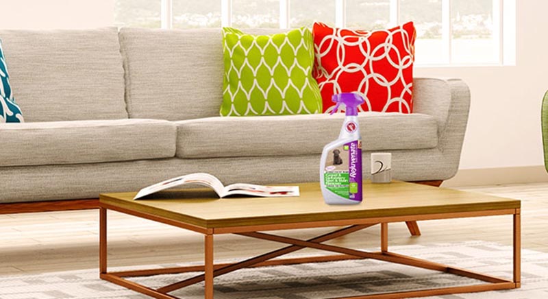 Your Couch a Makeover with the Right Upholstery Cleaner