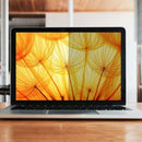3M Bright Screen Privacy Filter for 15.6in Full Screen Laptop, 353mm x 202mm, 16:9, BP156W9E