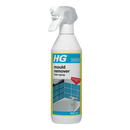 HG Mould Remover Foam Spray 500 ml