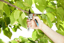 Gardena Alu Garden Secateurs B/L (Max Cutting Diameter: 25 mm | Cutting Type: Bypass )