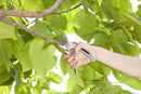 Gardena Alu Garden Secateurs B/L (Max Cutting Diameter: 25 mm | Cutting Type: Bypass )