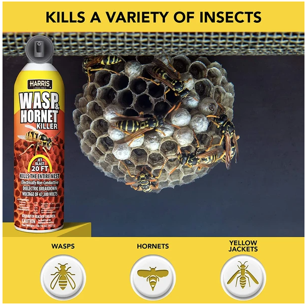 PF Harris Non Conductive Wasp Hornet Killer 16 Oz