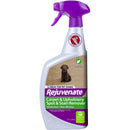 Rejuvenate Bio-Enzymatic Carpet & Upholstery Spot & Stain Remover, 32 Oz